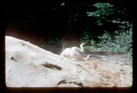 Slide970.jpg